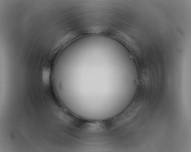 X0000113930118200909251227