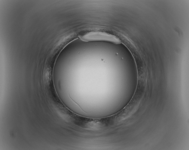 X0000113930119200909251227