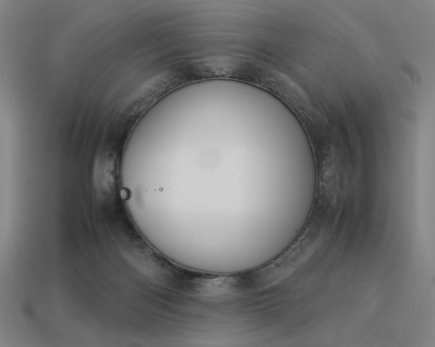 X0000113930122200909251227