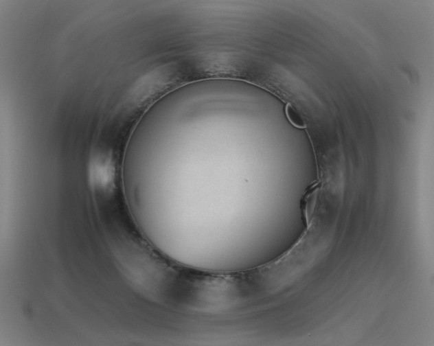 X0000113930124200909251227