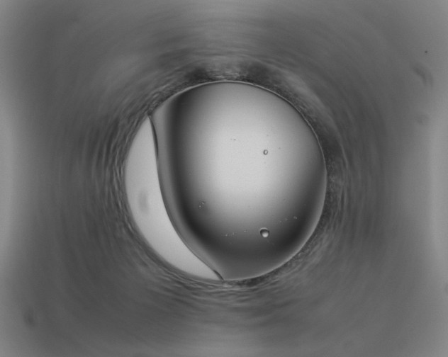 X0000113930125200909251227