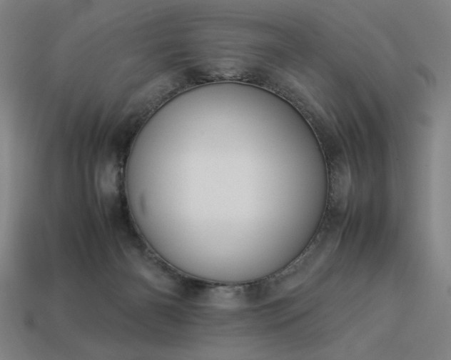 X0000113930126200909251227