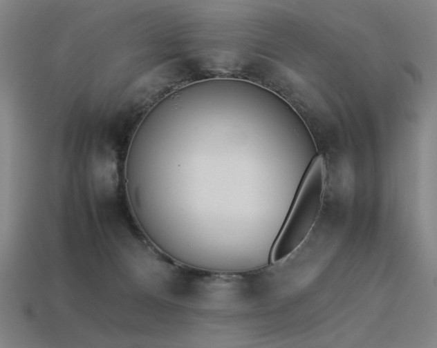 X0000113930128200909251227