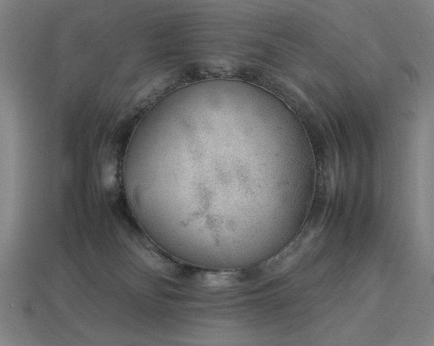 X0000113930134200909251227