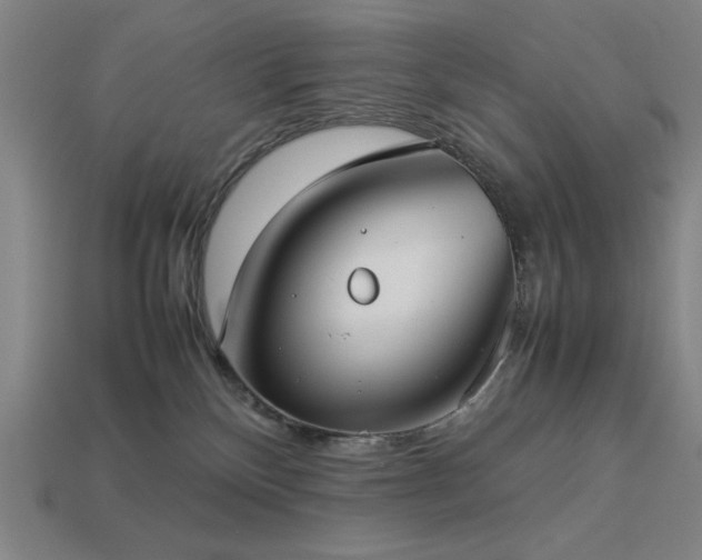 X0000113930136200909251227