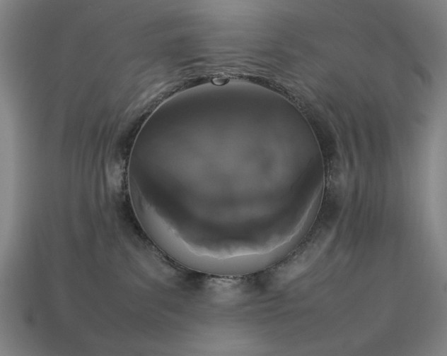 X0000113930139200909251227