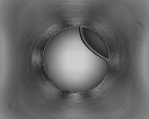 X0000113930140200909251227