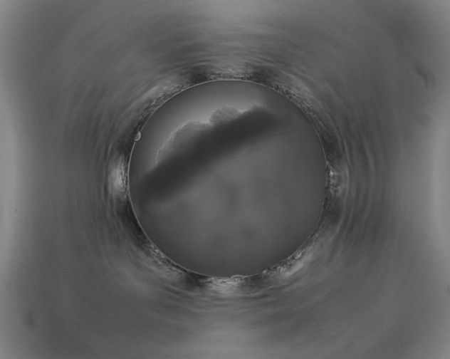 X0000113930143200909251227