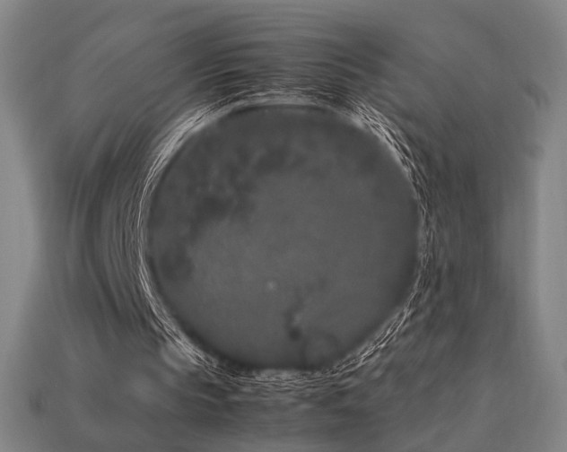X0000113930145200909251226