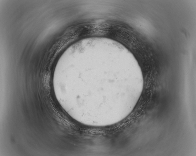 X0000113930146200909251226
