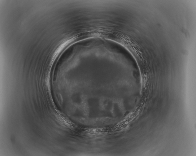 X0000113930147200909251226