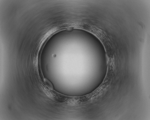 X0000113930148200909251226