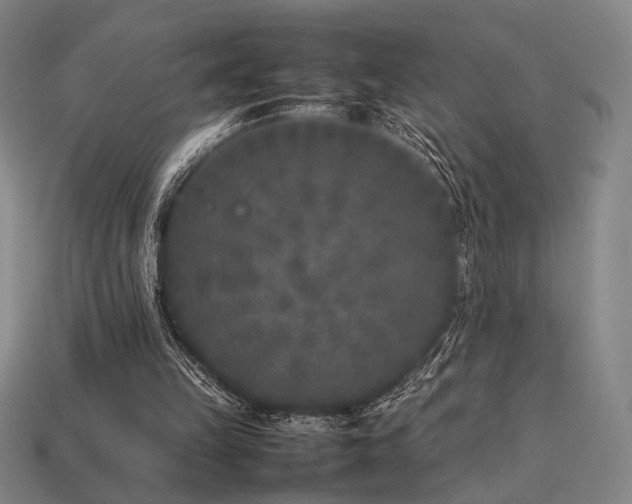 X0000113930149200909251226