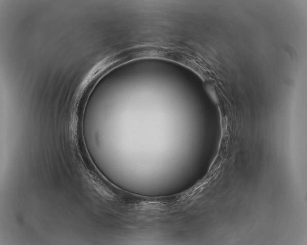 X0000113930150200909251226