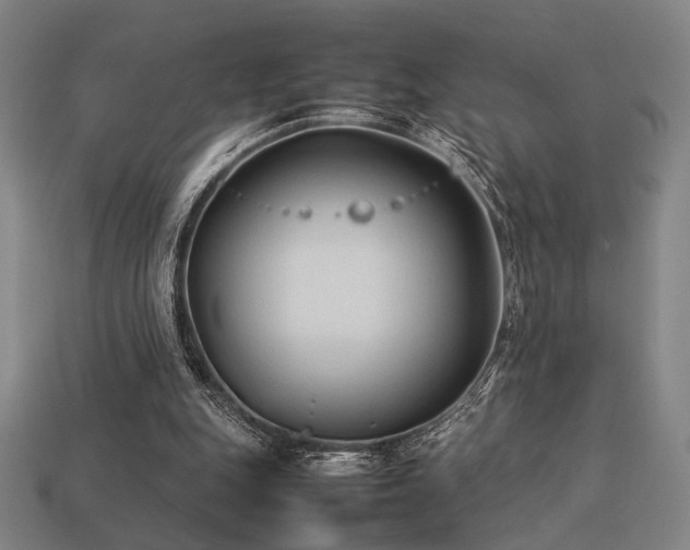 X0000113930151200909251226