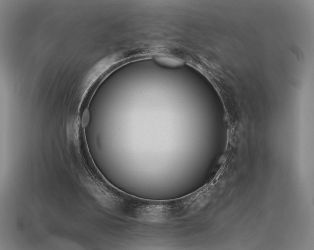 X0000113930152200909251226