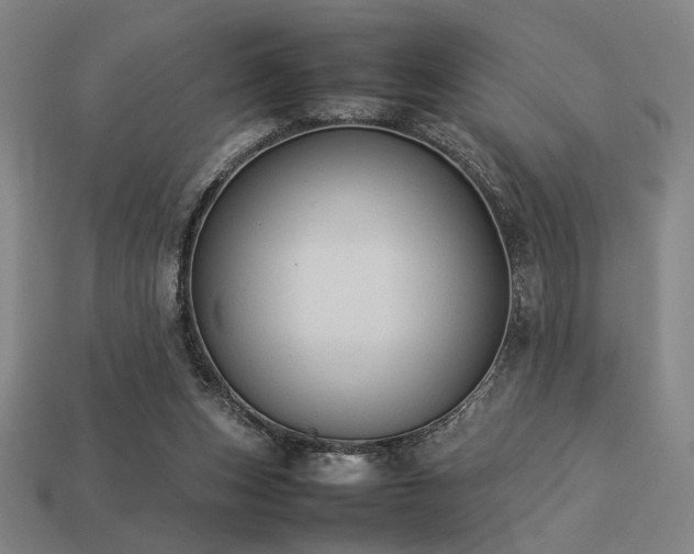 X0000113930159200909251226