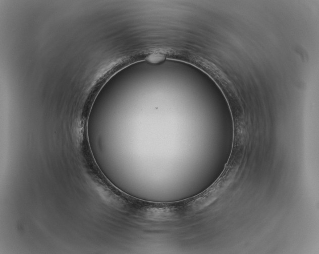 X0000113930160200909251226