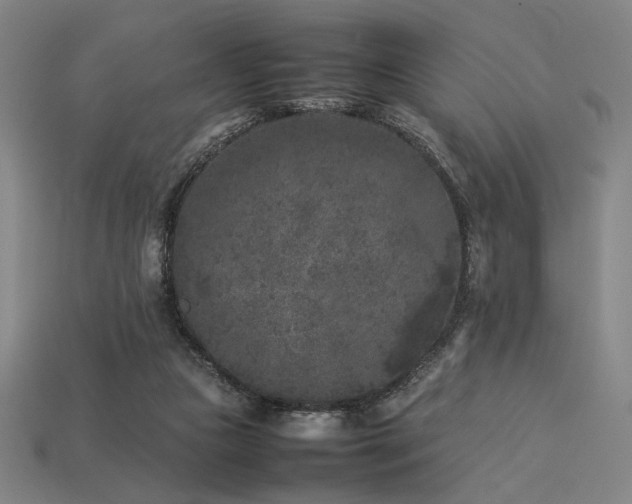 X0000113930161200909251226