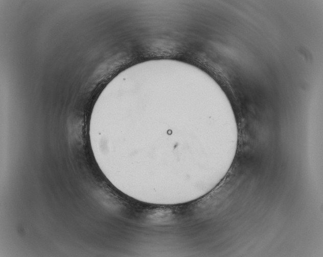 X0000113930162200909251226