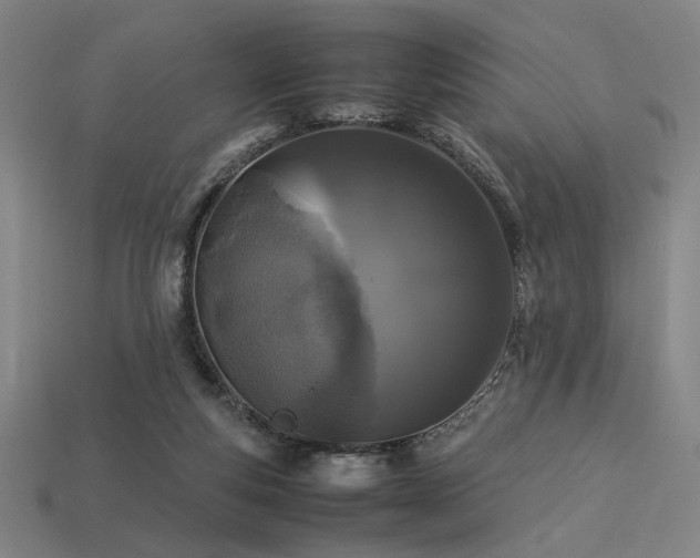 X0000113930163200909251227