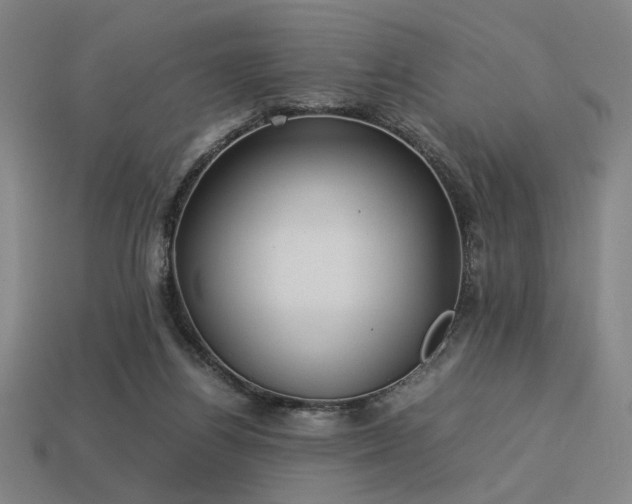 X0000113930164200909251227