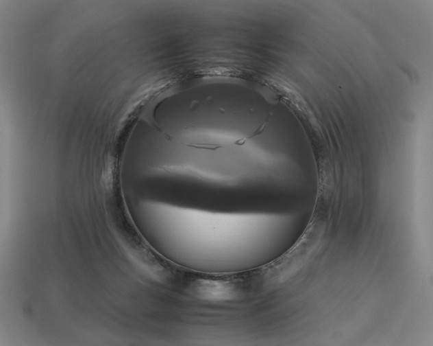X0000113930167200909251227