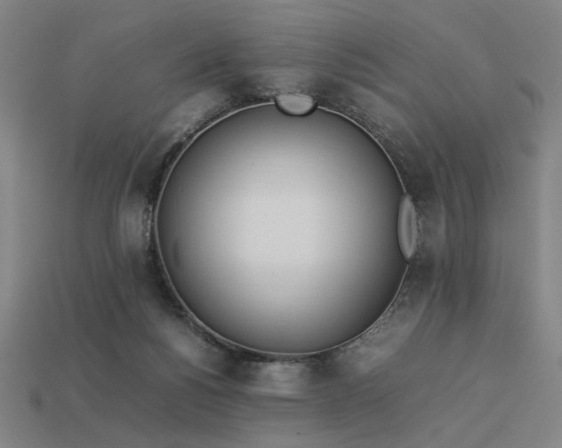 X0000113930168200909251227