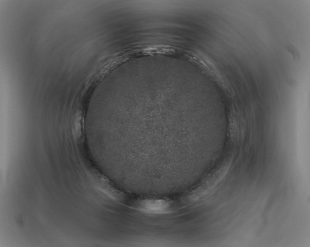 X0000113930169200909251227