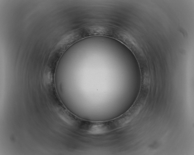 X0000113930173200909251227