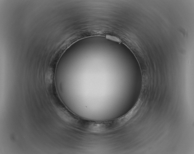 X0000113930174200909251227