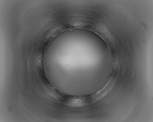 X0000113930175200909251227