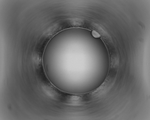 X0000113930176200909251227