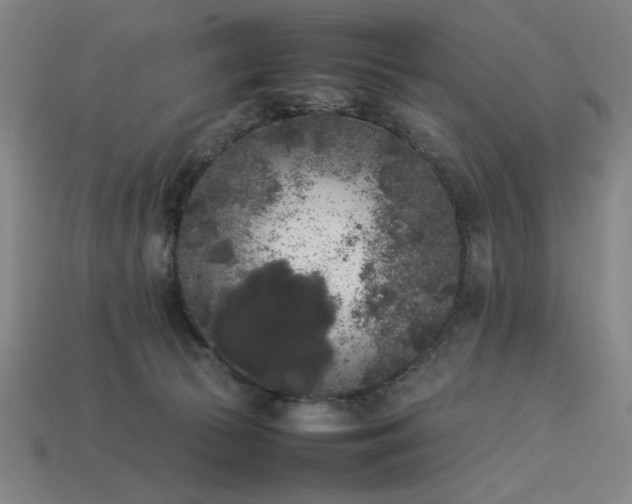 X0000113930177200909251227