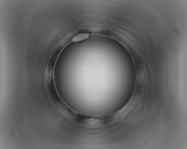 X0000113930180200909251227