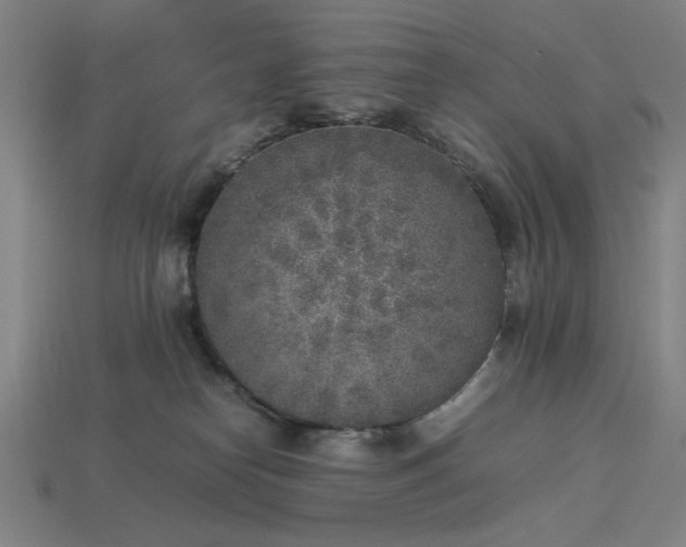 X0000113930182200909251227