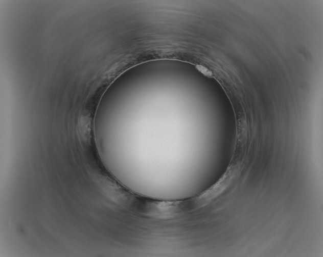 X0000113930184200909251227