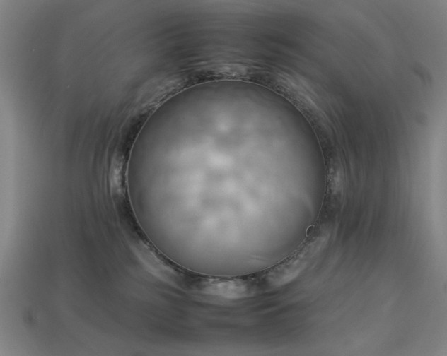 X0000113930185200909251227