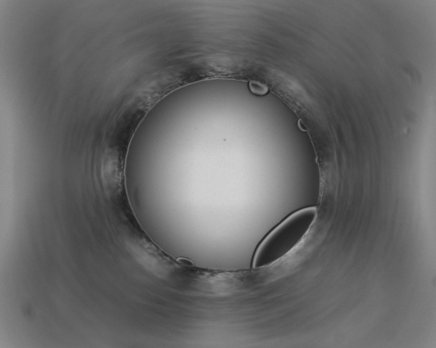 X0000113930186200909251227