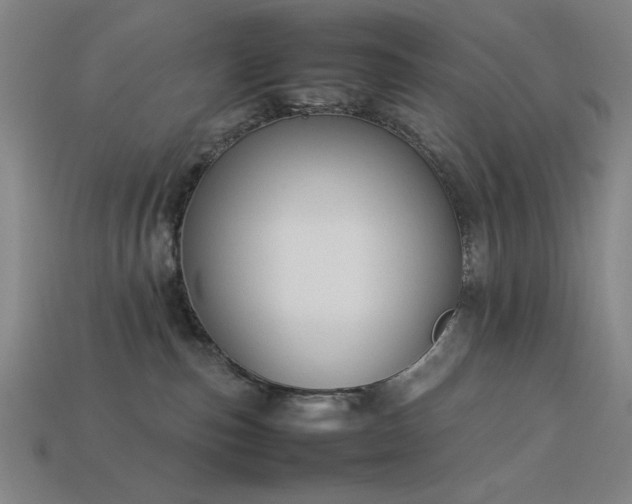 X0000113930187200909251227