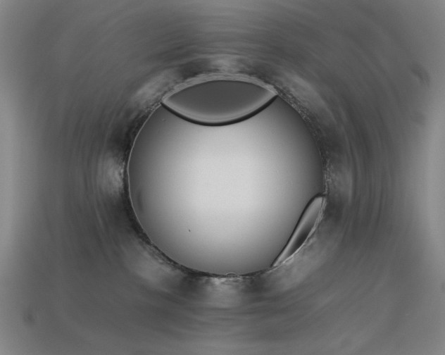 X0000113930188200909251227