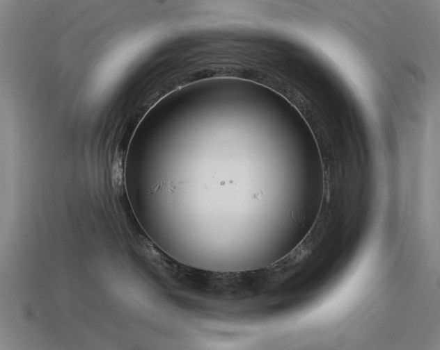 X0000113930190200909251227
