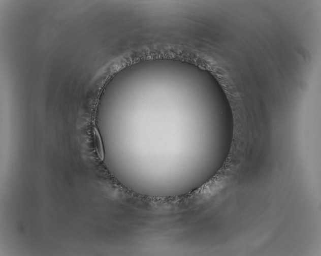 X0000113930192200909251227