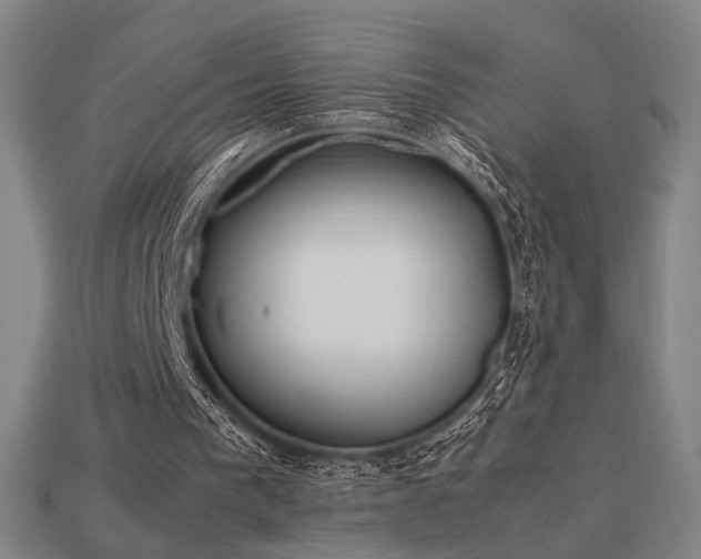 X0000113930193200909251226