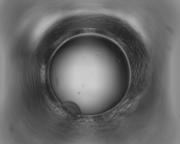 X0000113930194200909251226