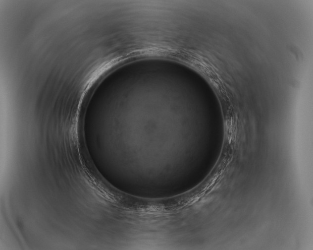 X0000113930196200909251226