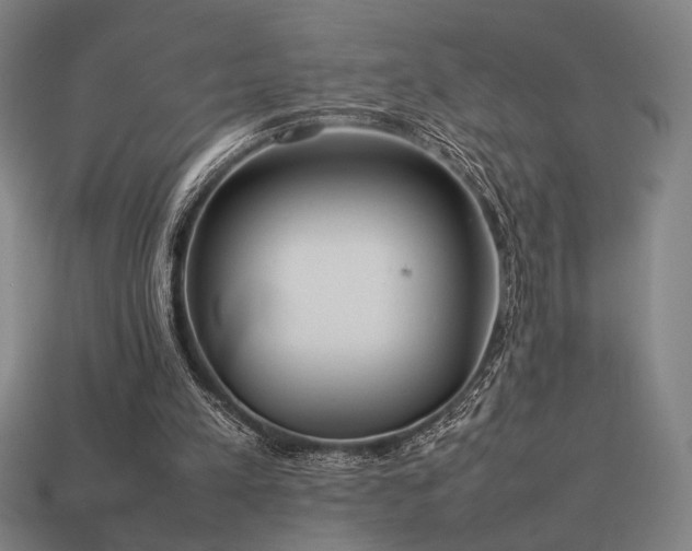 X0000113930197200909251226