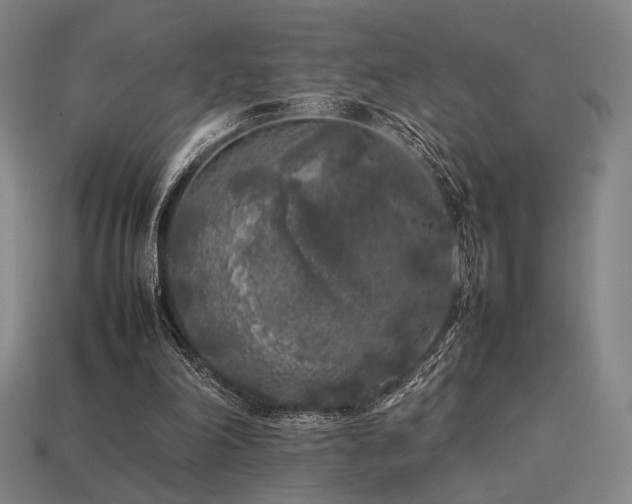 X0000113930198200909251226