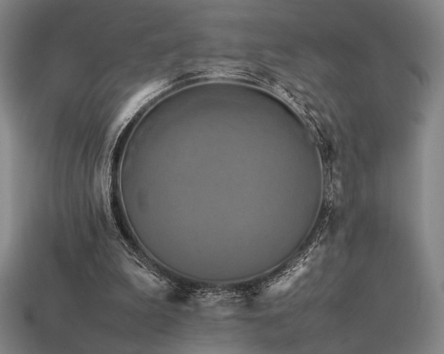 X0000113930199200909251226