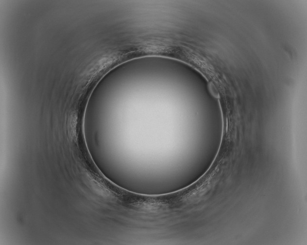 X0000113930201200909251226
